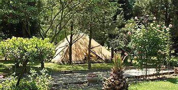 Maioli Hotel Bellaria-Igea Marina